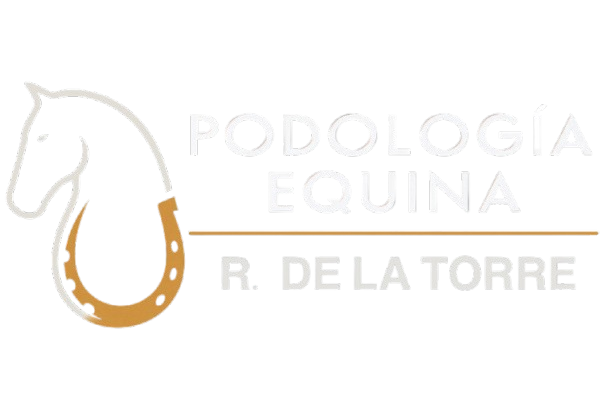 Rafael de la Torre Logo